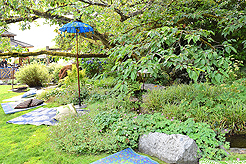 DAYLIGHT, DARK NIGHT AND BLUE SKIES WITH PAPA BUENO